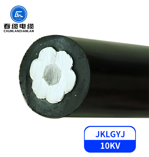 JKLGYJ     10kV